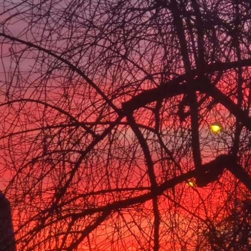 En bild för internannons